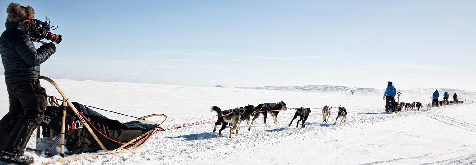 Sub7 filming from the back of a dog sled